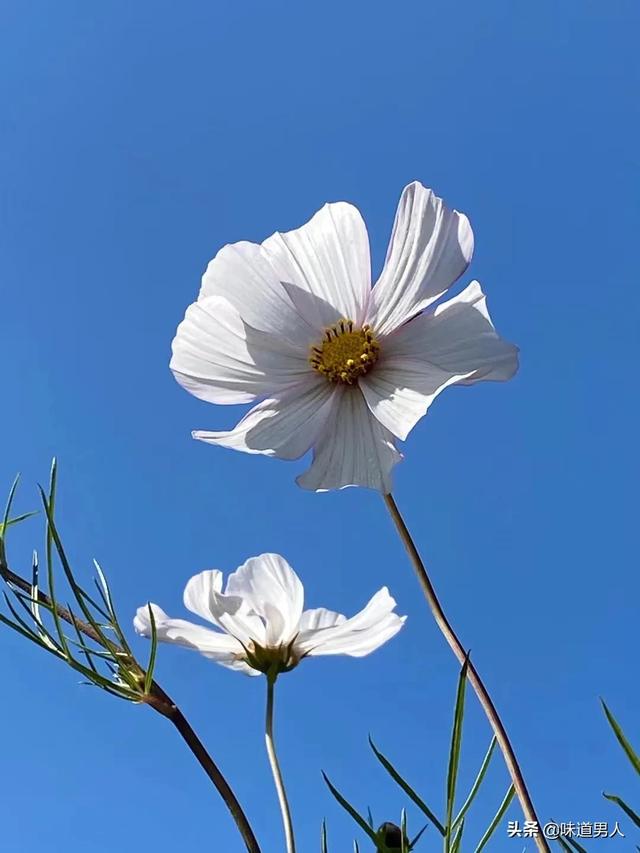 为啥生孩子不赶节气，生孩子不能赶在节气（一起了解上坟习俗）