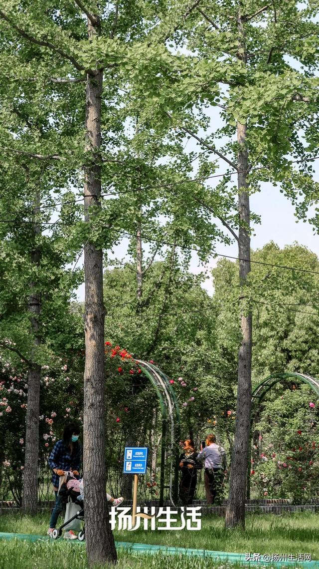 扬州历史文化景点，扬州最容易被忽视的古城遗址