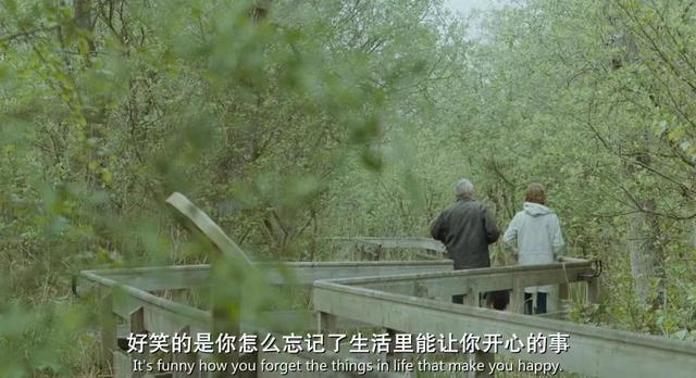 射手女做老婆真的不好，几天不理射手女会怎样（为什么说这三大星座女在婚姻中最不幸）