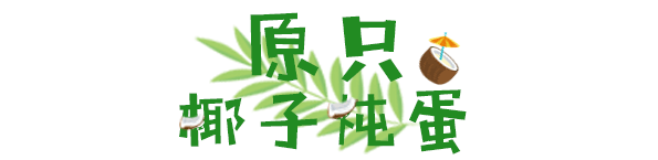 “椰”青回！跟酷暑say拜拜