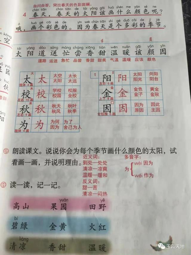 栀子花叶子发黄怎么办|，栀子花叶子发黄怎么办原因（一年级语文下册课堂笔记第4课）