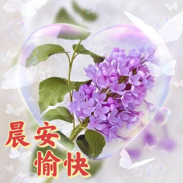 今日白露的问候，白露节气早安问候祝福语短信