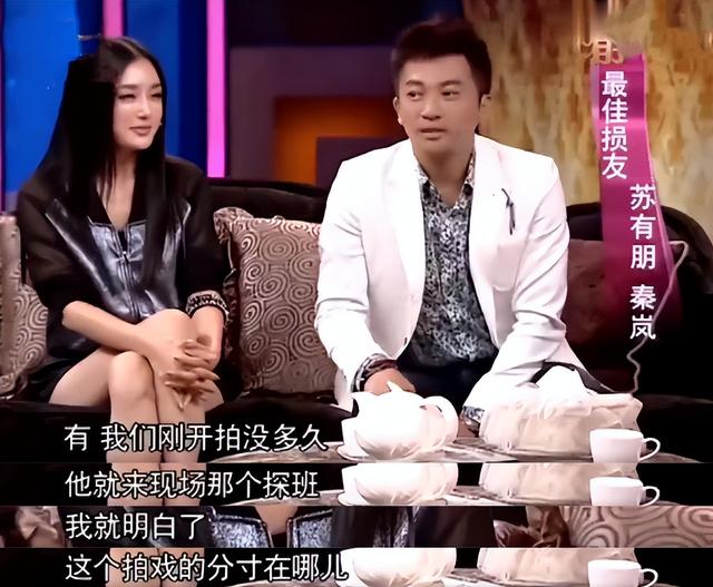 苏有朋和秦岚一起演的电视剧叫什么名字，苏有朋和秦岚的电视剧有哪些（“隐形富婆”秦岚）