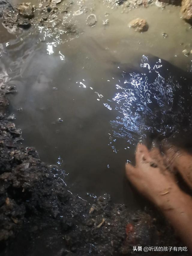 厦门赶海最全攻略，感受花式赶海的快乐