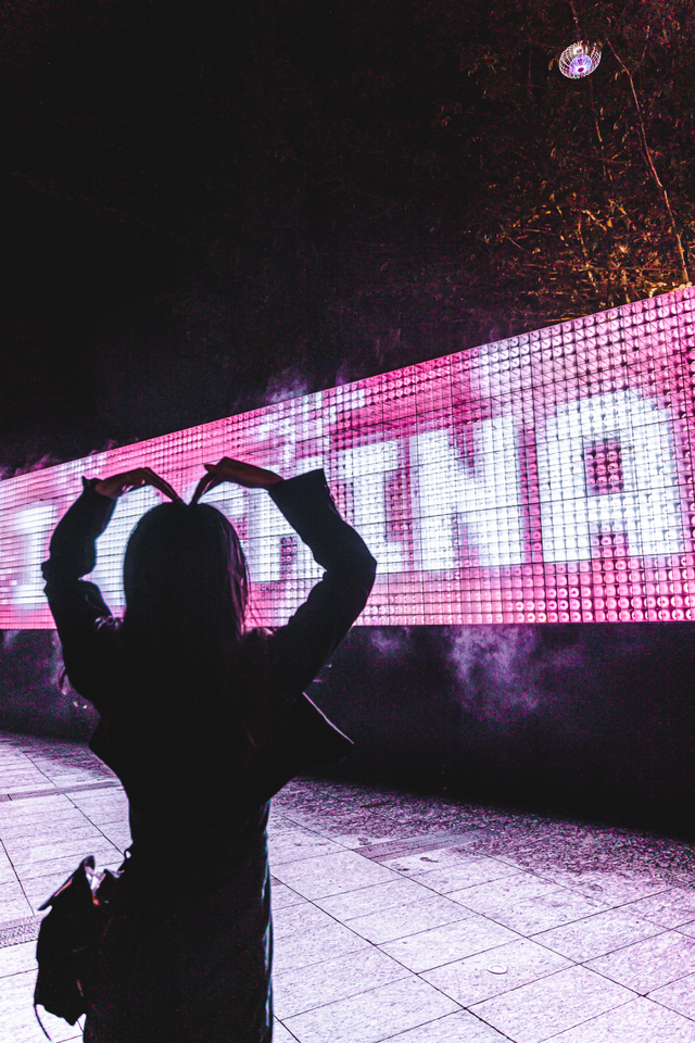 深圳海洋世界攻略，海洋馆、水秀剧场、梦幻巡游…在这里全都有