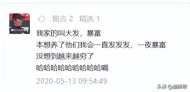 新浪微博名字大全，好听的新浪微博名字大全（让所有人都笑死在这些沙雕名字里）