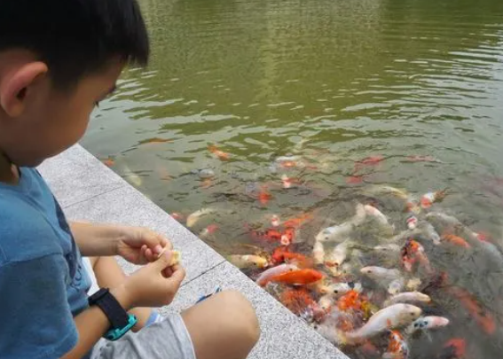 蒸馏水导电吗，蒸馏水导电吗百度百科（4个你深信不疑的“常识”）