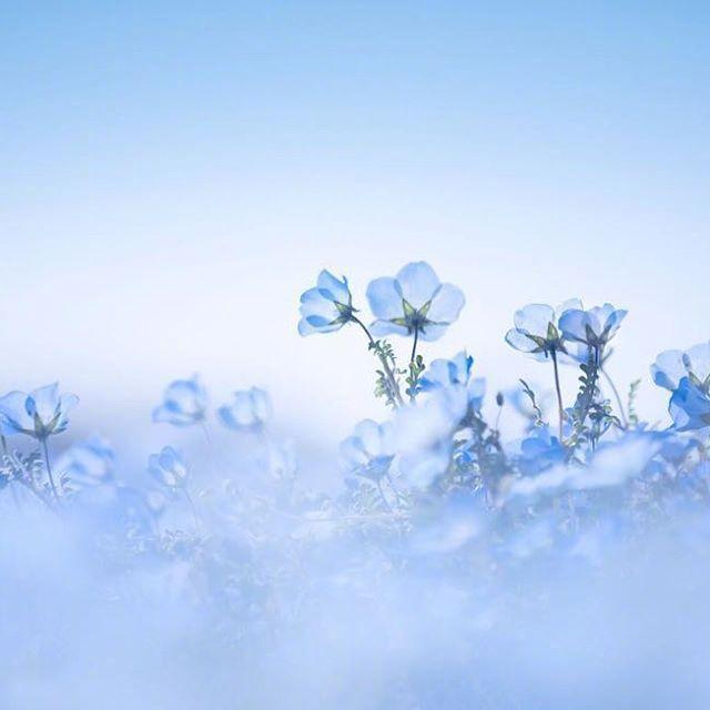 关于朋友的名言，关于朋友的名言经典（十一月发朋友圈最棒的人生格言）