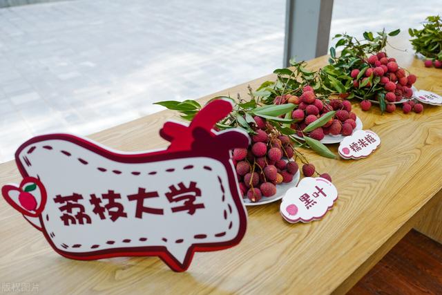 深圳大学落选第二轮双一流，深圳大学分数比985高（再度落选“双一流”）