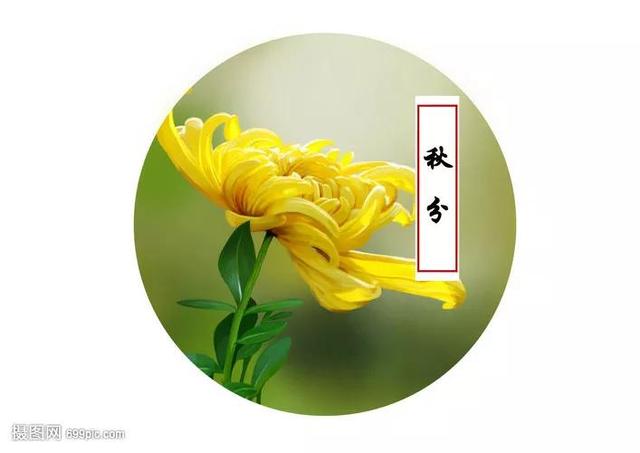 冬至的来历和由来 养生四大禁忌，冬至的来历和由来（秋分节气的由来与习俗）