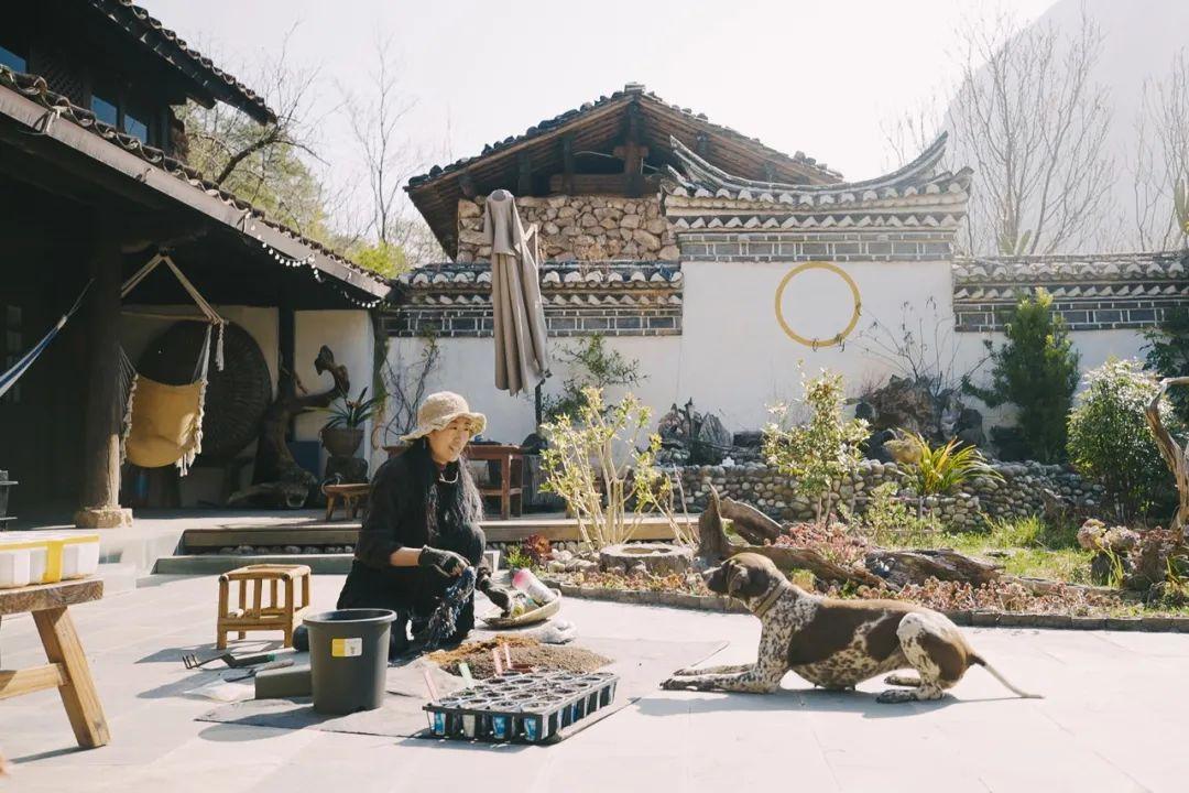 地猫（33岁女生在荒山独居6年）