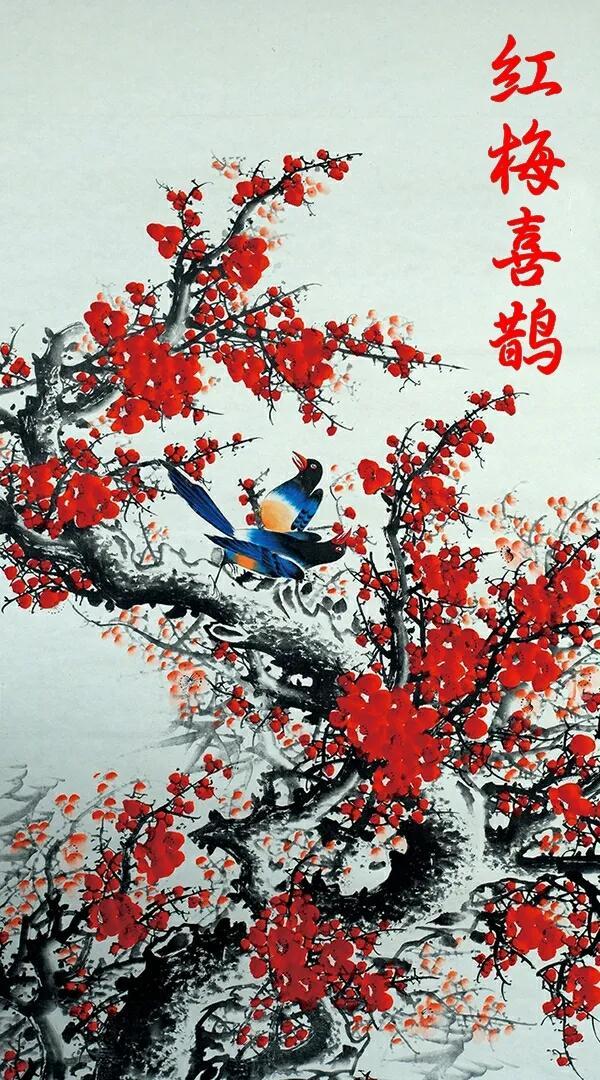 喜鹊图片大全大图，喜鹊的种类及分布图（喜鹊吉祥图片，精美手机壁纸）