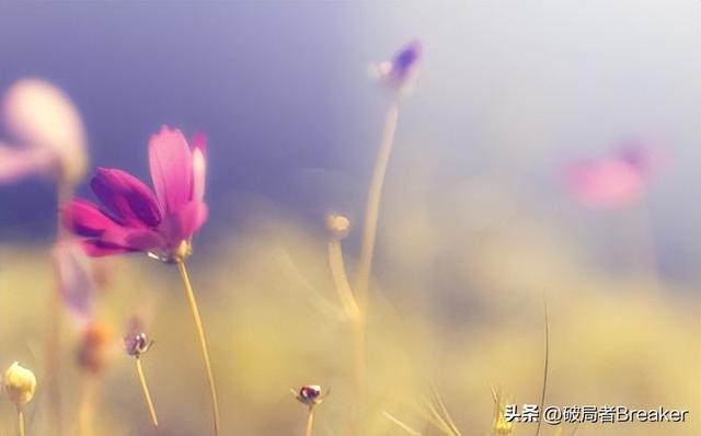 处事圆滑的技巧，教你处事圆滑的四大技巧