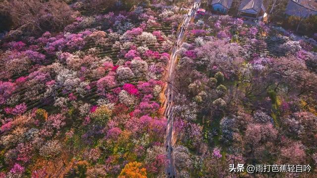 鸡鸣寺要门票吗，鸡鸣寺要预约吗（2023年南京吃住行玩超全攻略）