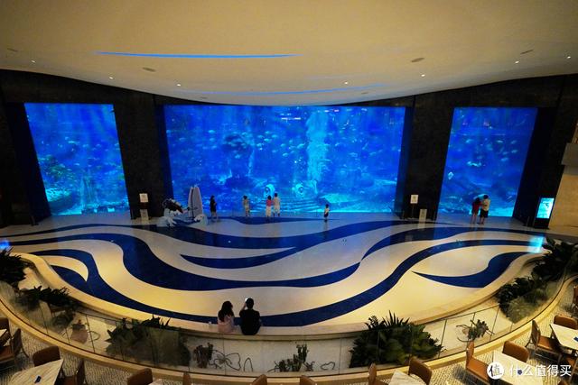 亚特兰蒂斯在哪里，亚特兰蒂斯在哪（“人傻钱多”的三亚亚特兰蒂斯）