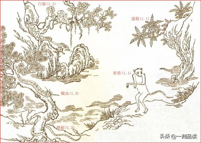丽鹿读什么，《山海经·南山经一》奇兽、异鸟、神木