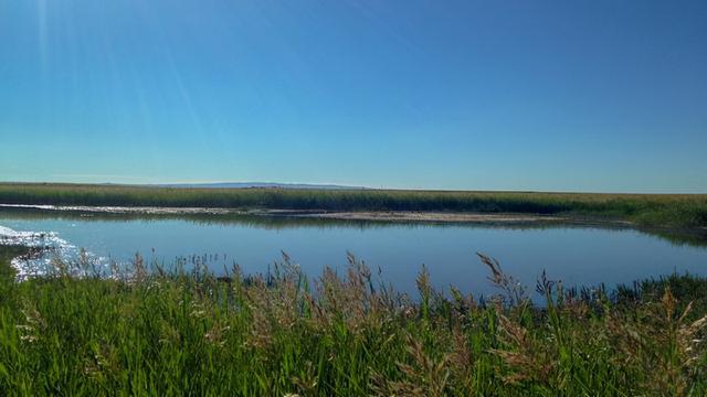 二月二吃猪头肉，各有2层意思，你知道吗（二月二吃猪头肉图片）