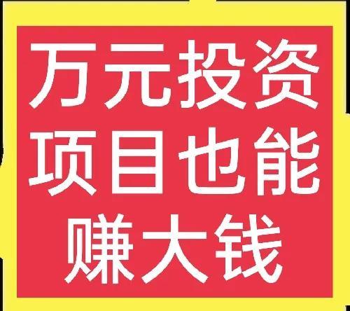 农村投资项目(国家扶持致富新项目)