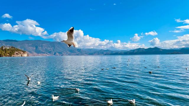云南泸沽湖一日游攻略，一月泸沽湖旅游攻略（丽江出发泸沽湖一日游攻略）