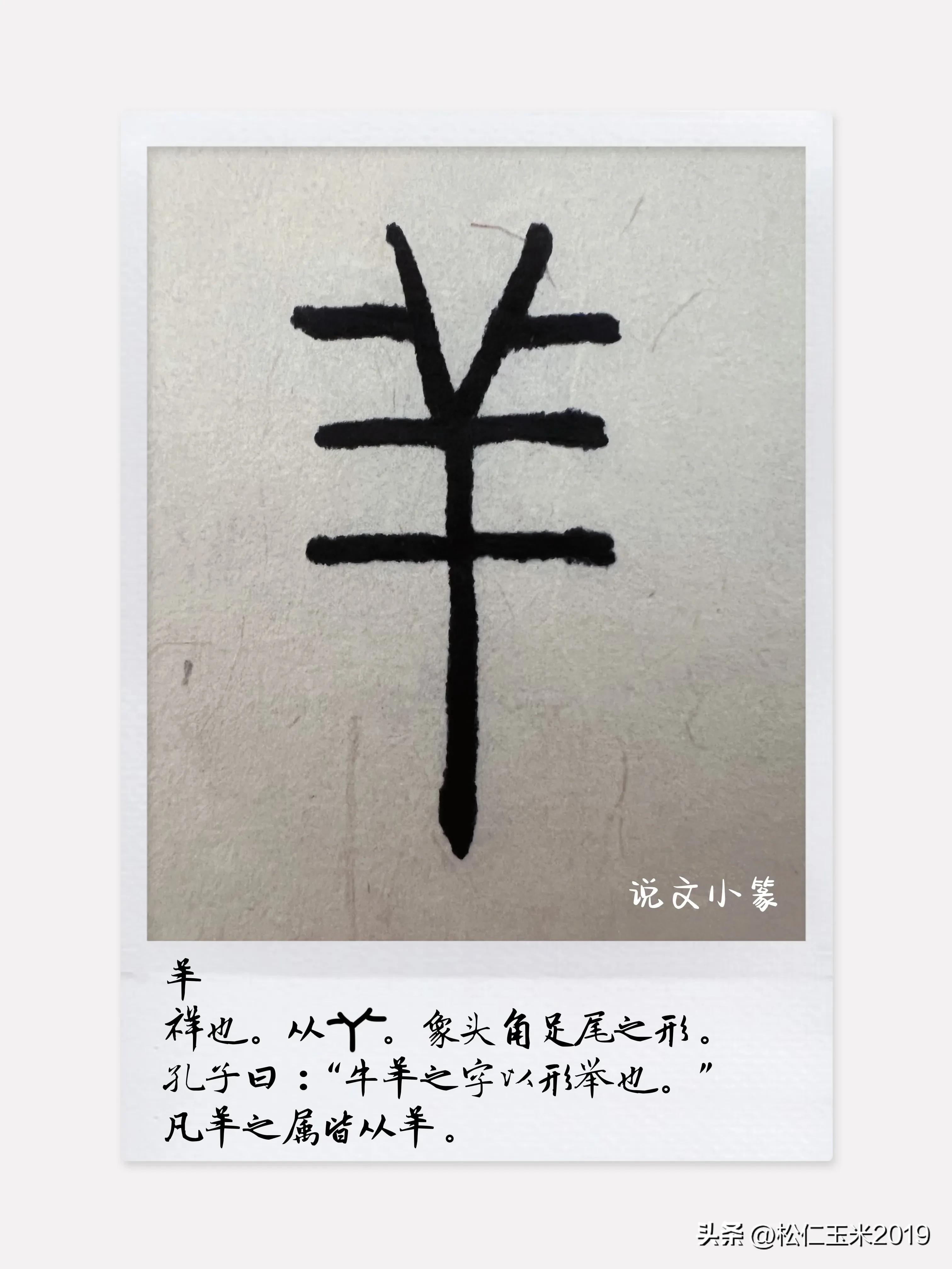 羊代表什么象征意义，羊的象征和意义是什么（有趣的汉字之“羊”、“祥”92）