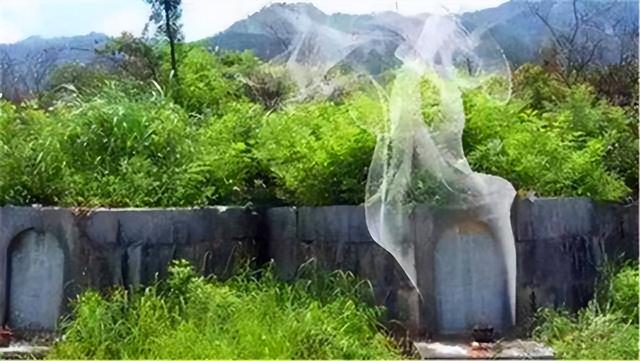 看到白蛇代表什么预兆，路边看见白蛇是什么兆头（俗语：“坟有三象）