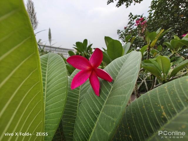 八英寸等于多少厘米，十英寸等于多少厘米长度（Fold+全面评测）