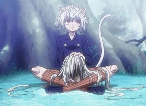 全职猎人人物介绍，漫画全职猎人人物介绍（《全职猎人》会长能打赢猫女吗）