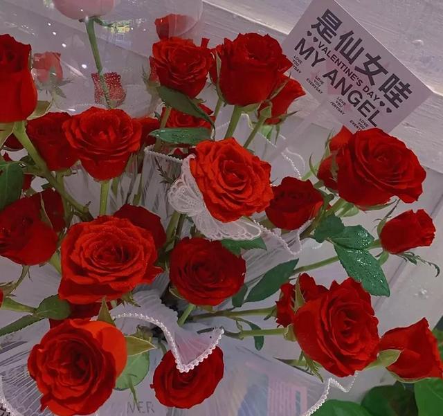 一朵红玫瑰花代表什么意思，红玫瑰代表什么意思（不同颜色玫瑰花的花语）