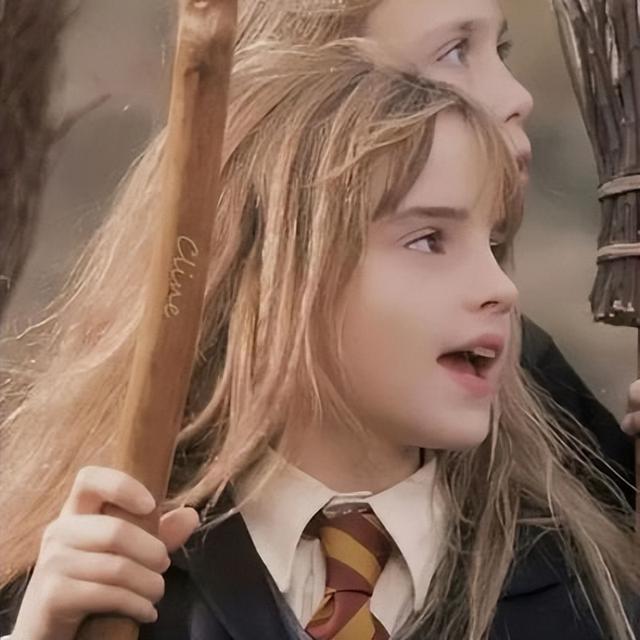 哈利波特漫画图片，哈利波特（哈利·波特微信头像）