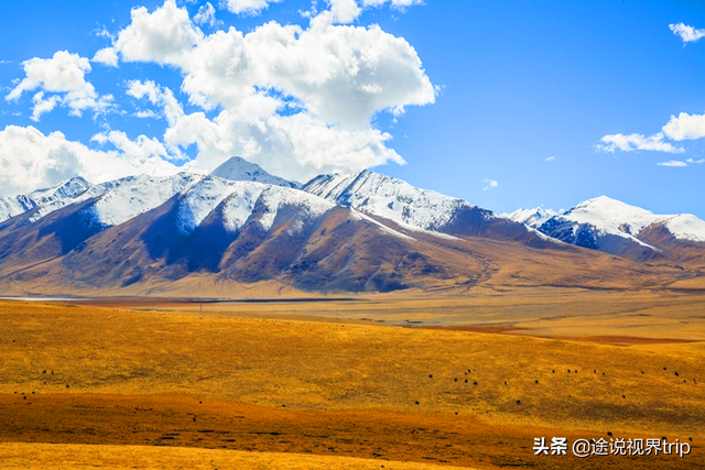 中国四大草原，中国四大草原内蒙古的什么（让人去了就不想走的地方）