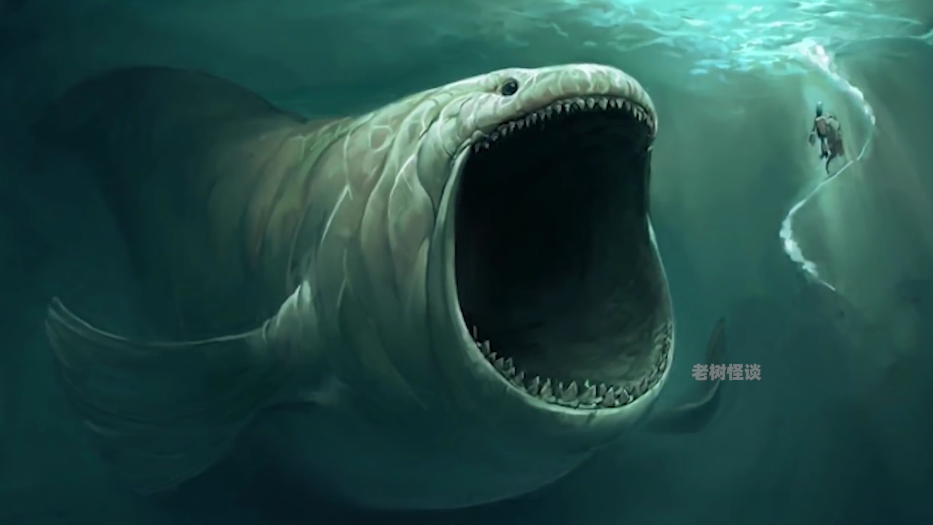 六大深海巨兽:第一名 神秘未知生物