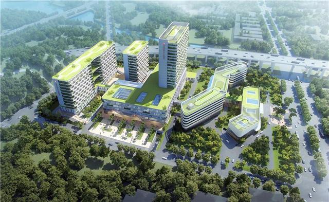 深圳地铁31号线，深圳地铁31号线最新规划图（210万建面保利旧改）