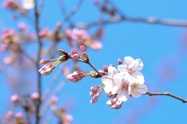 读书笔记好词好句大全，读书笔记好词好句大全带书名（读书笔记短句）