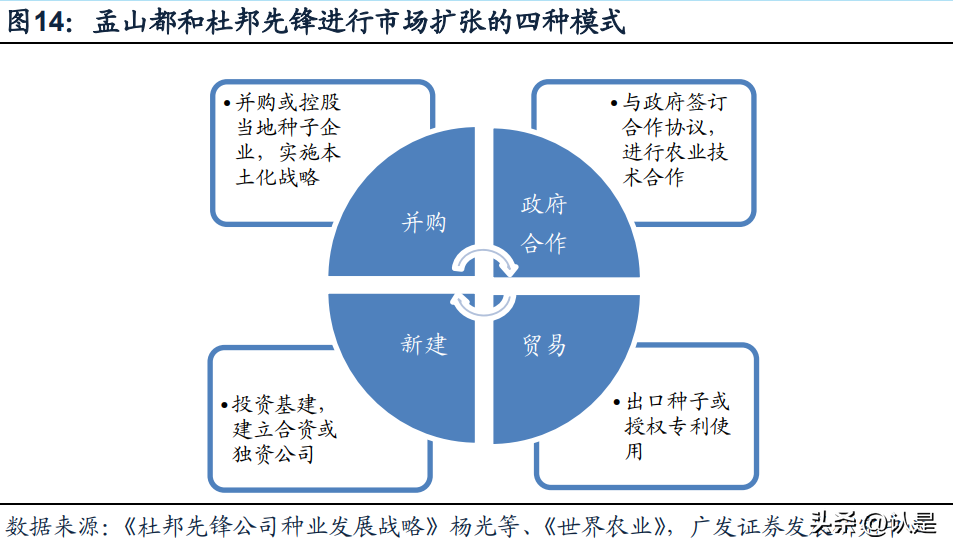 登海先锋种业（农林牧渔行业转基因专题研究）