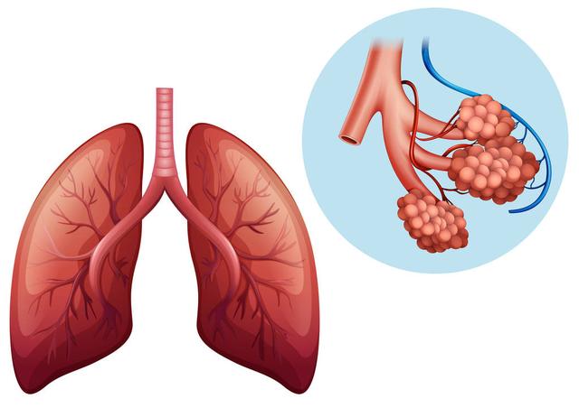 胸闷气短是大病征兆，大病来临前的征兆有哪些（有可能是6种因素影响）