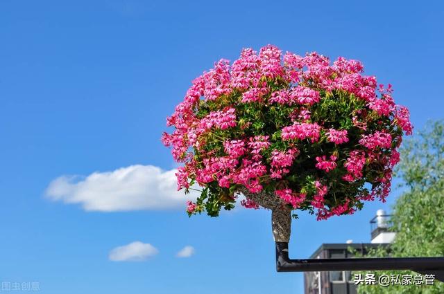 开心点，开心点点消红包版（希望这个夏天图片）