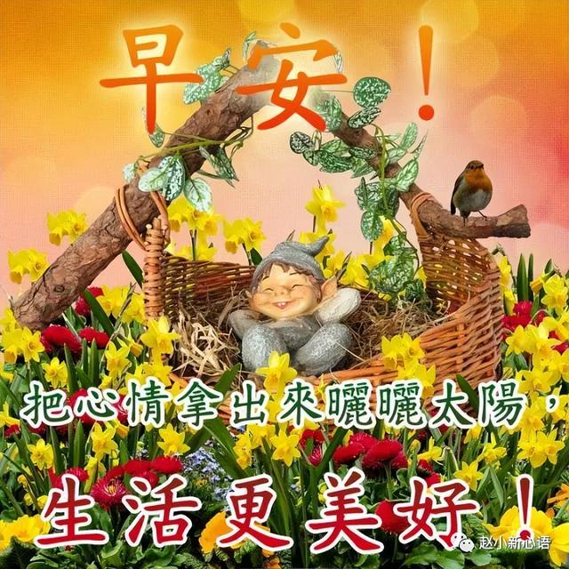 关于美好祝福的句子，关于美好祝福的句子简短（朋友圈早安带字问候朋友图片）