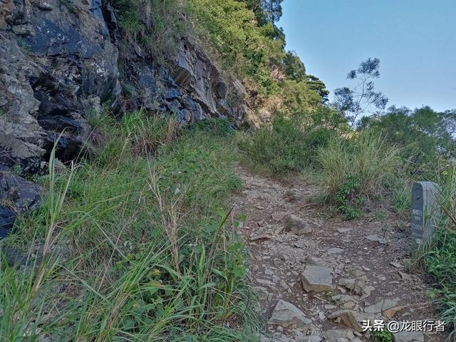 周日打卡鹏城第一峰，从蝴蝶谷-好汉坡步道登顶