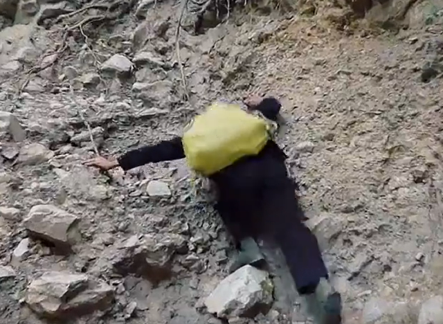 燕窝的价格，燕窝的价格表（贵的一斤卖2万6,两个儿子不愿意学,手艺即将失传）