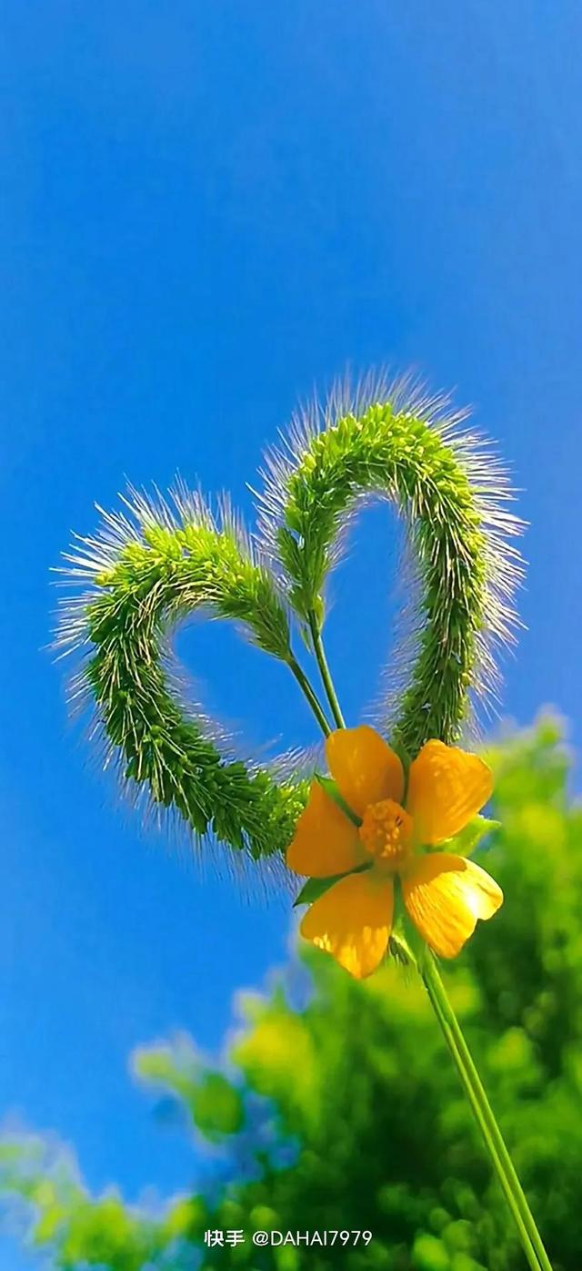 绿色聊天背景图，怎样能把微信聊天背景调成绿色的（绿色背景壁纸，好看的壁纸）