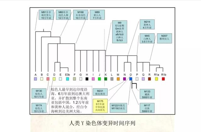 华夏族是指什么民族，中华民族简史