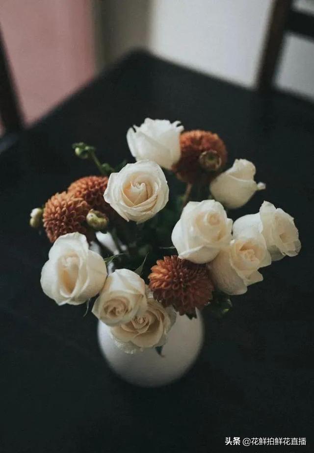 玫瑰花的寓意，玫瑰日常养护打理技巧（黄玫瑰花语象征与寓意）