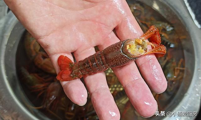 小龙虾的做法大全 蒜蓉小龙虾六步做法，小龙虾的做法大全（就是汤汁拌饭也特别香）