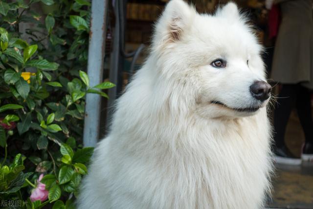 头像 个性 简约 可爱，可爱简约系的头像（头像头像头像＼可爱头像＼简约卡通头像/壁纸.微信）