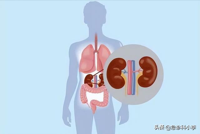 感冒可以吃西瓜吗，咳嗽可以吃西瓜吗（爱吃西瓜的人注意了）