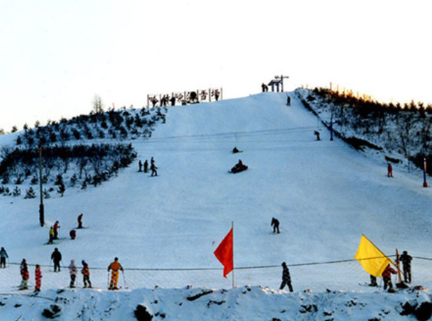 哈尔滨体育学院是一本还是二本，哈尔滨体育学院几本大学（东北格路男孩高亭宇圆梦冬奥会）