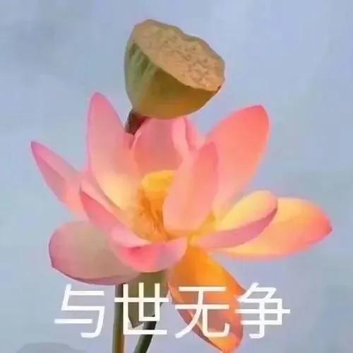 老年人用的头像，比较适合老人的头像（中老年微信头像）