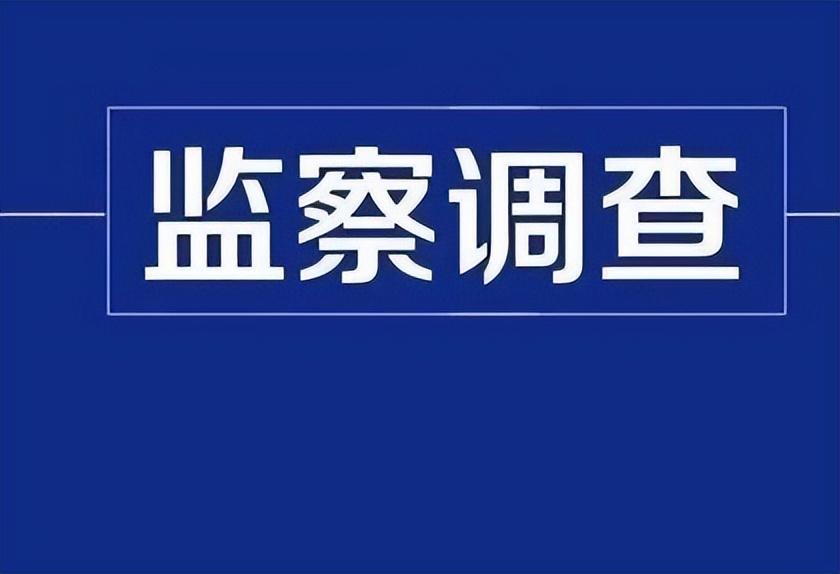 被调查人既涉嫌严重职务违法（九江市置地投资有限公司副总经理奚咏接受监察调查）