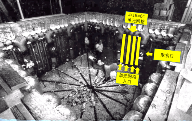 小白鼠多少钱一只，小白鼠（美国将8只白鼠放进“乐园”）