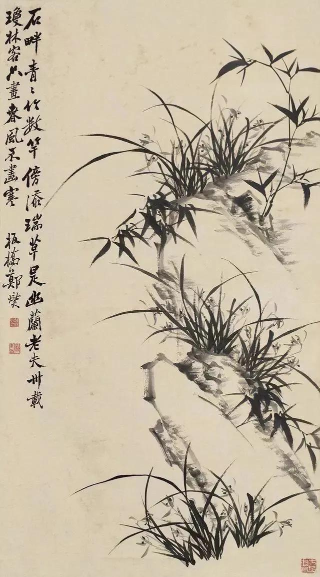 郑板桥擅长画什么，郑板桥擅长画什么什么之一（郑板桥画兰：肥瘦相间）